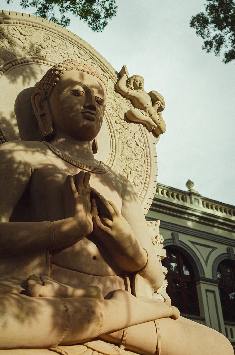 Фото 41 из альбома Sri Lanka 2019