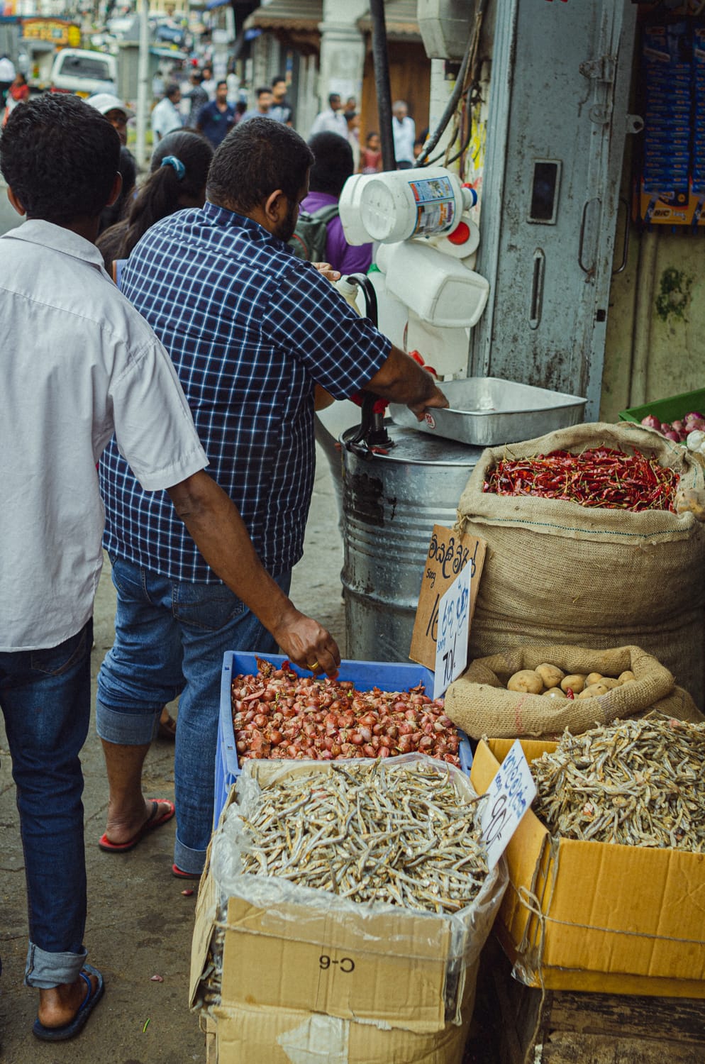 Фото 50 из альбома Sri Lanka 2019