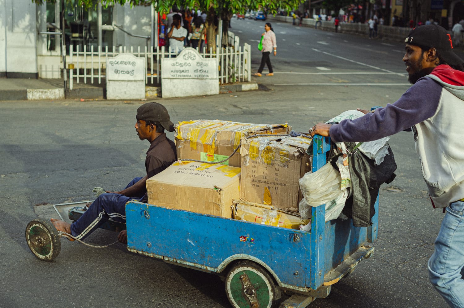 Фото 52 из альбома Sri Lanka 2019