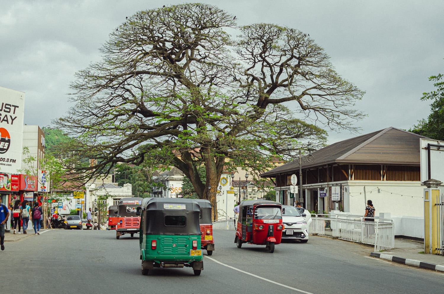 Фото 53 из альбома Sri Lanka 2019