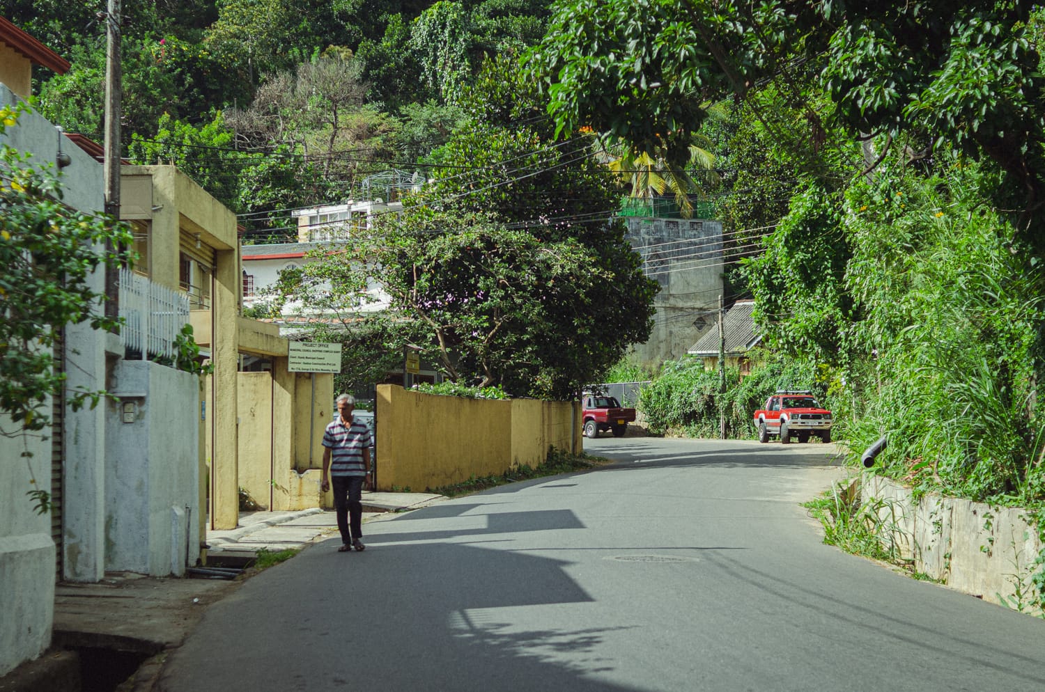 Фото 57 из альбома Sri Lanka 2019