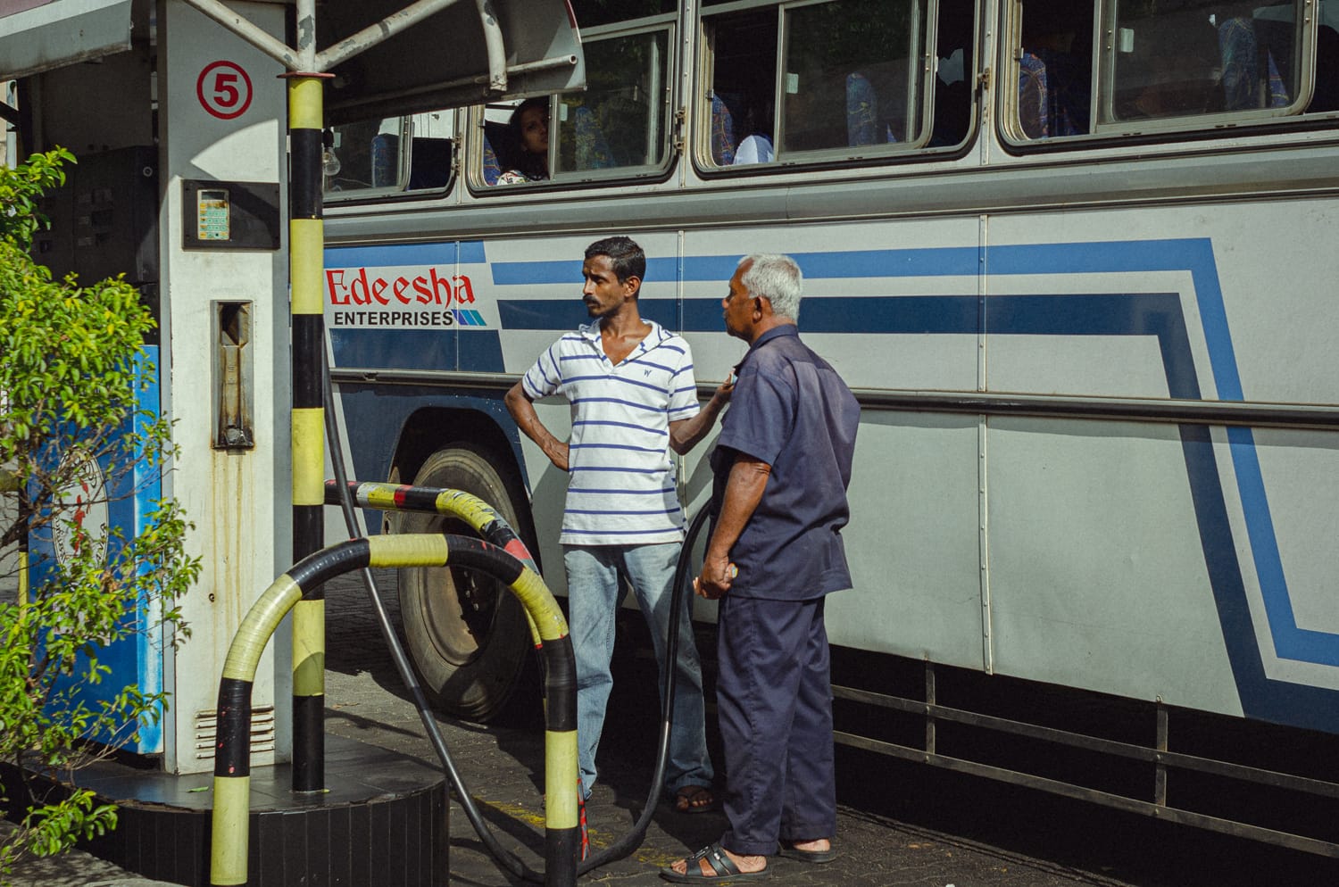 Фото 61 из альбома Sri Lanka 2019