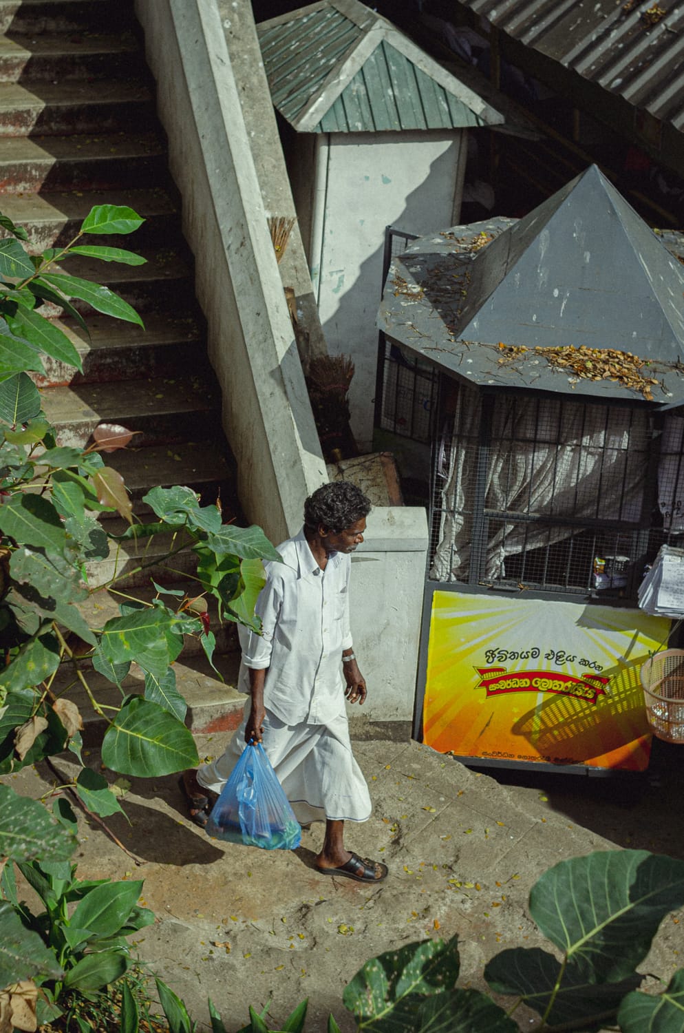 Фото 65 из альбома Sri Lanka 2019