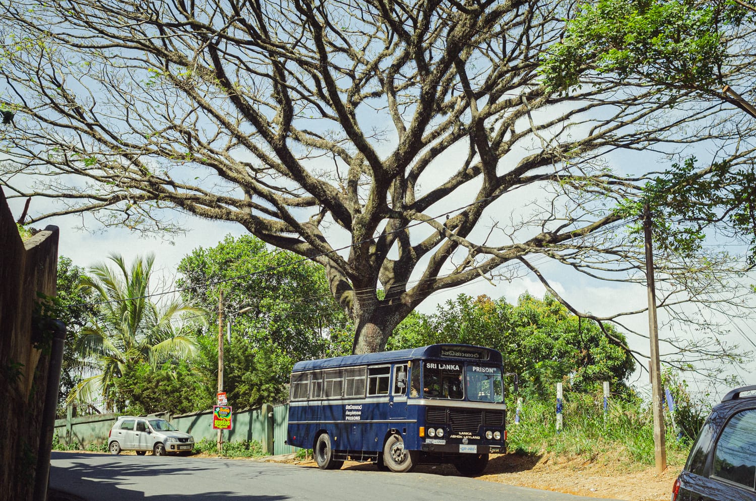 Фото 70 из альбома Sri Lanka 2019