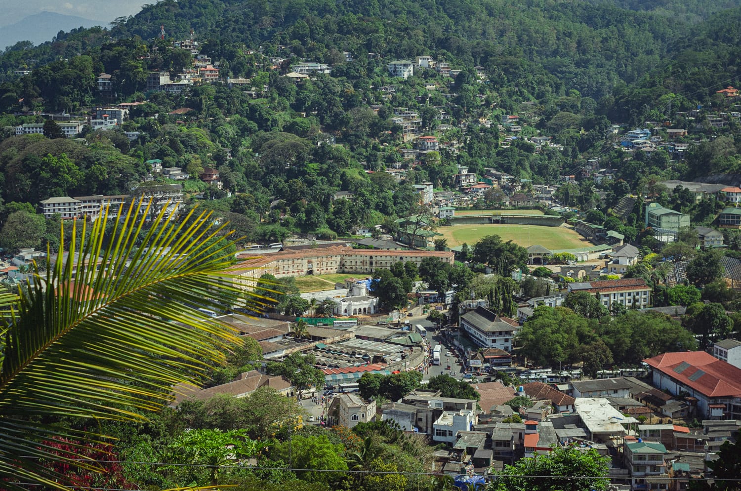 Фото 72 из альбома Sri Lanka 2019