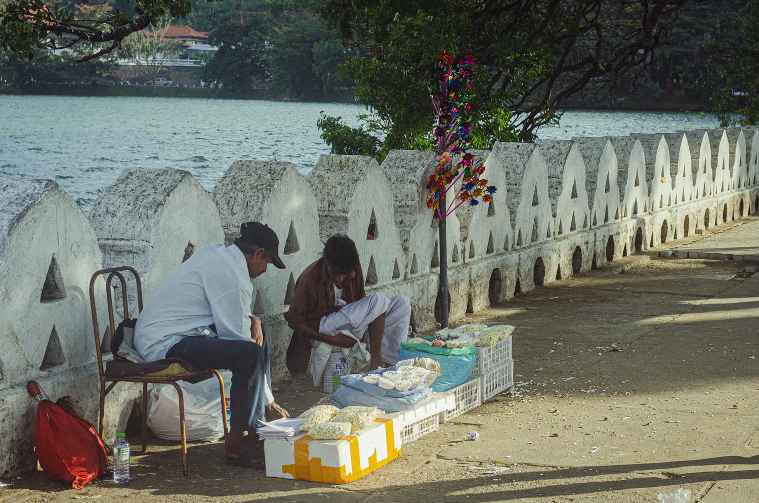 Фото 73 из альбома Sri Lanka 2019