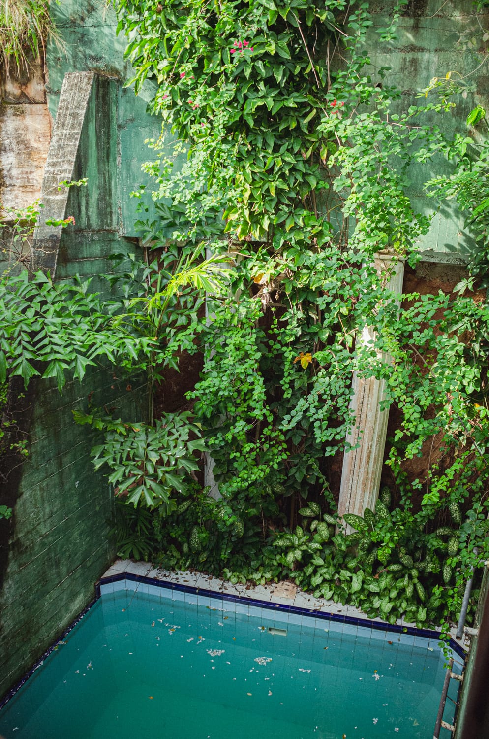 Фото 79 из альбома Sri Lanka 2019