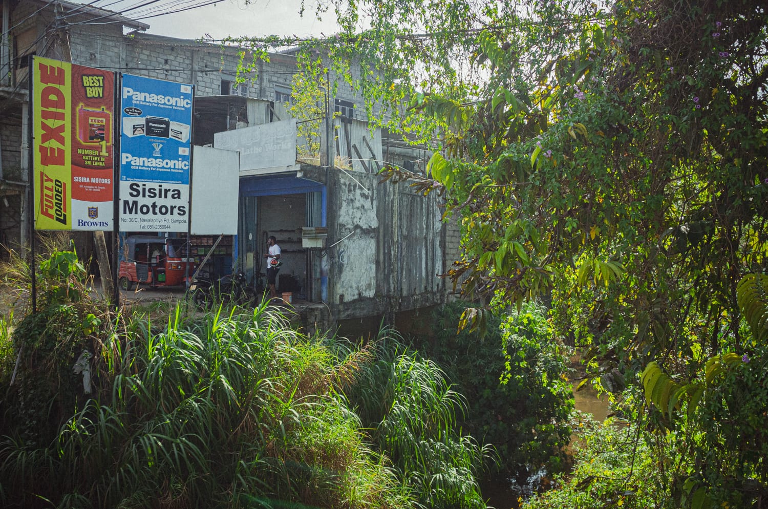 Фото 80 из альбома Sri Lanka 2019