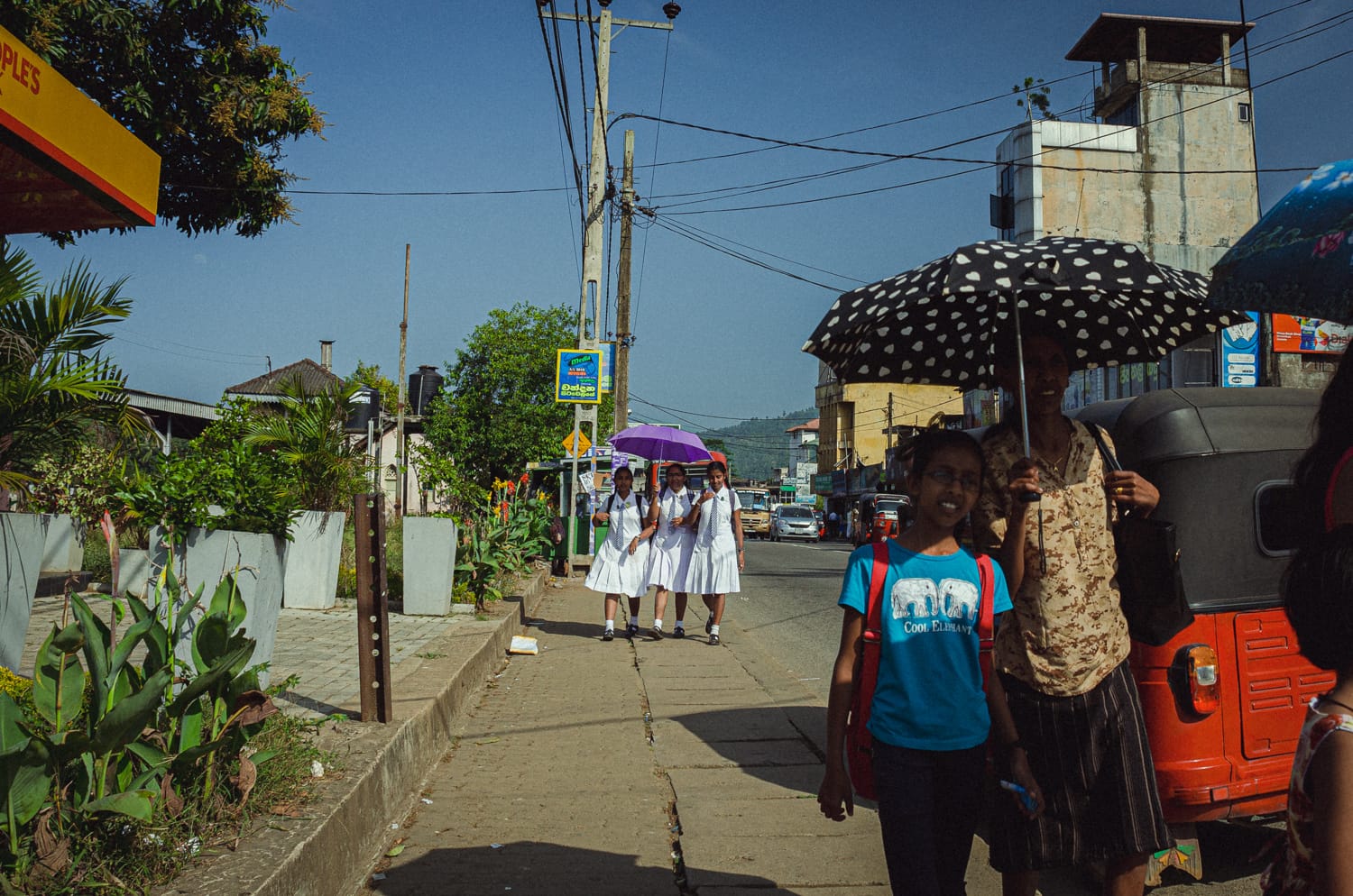 Фото 81 из альбома Sri Lanka 2019
