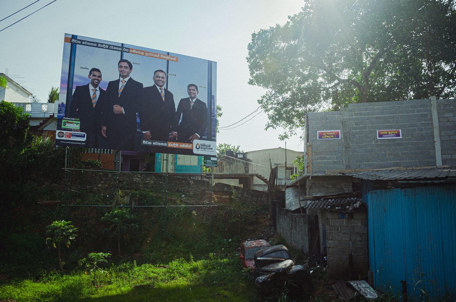 Фото 86 из альбома Sri Lanka 2019