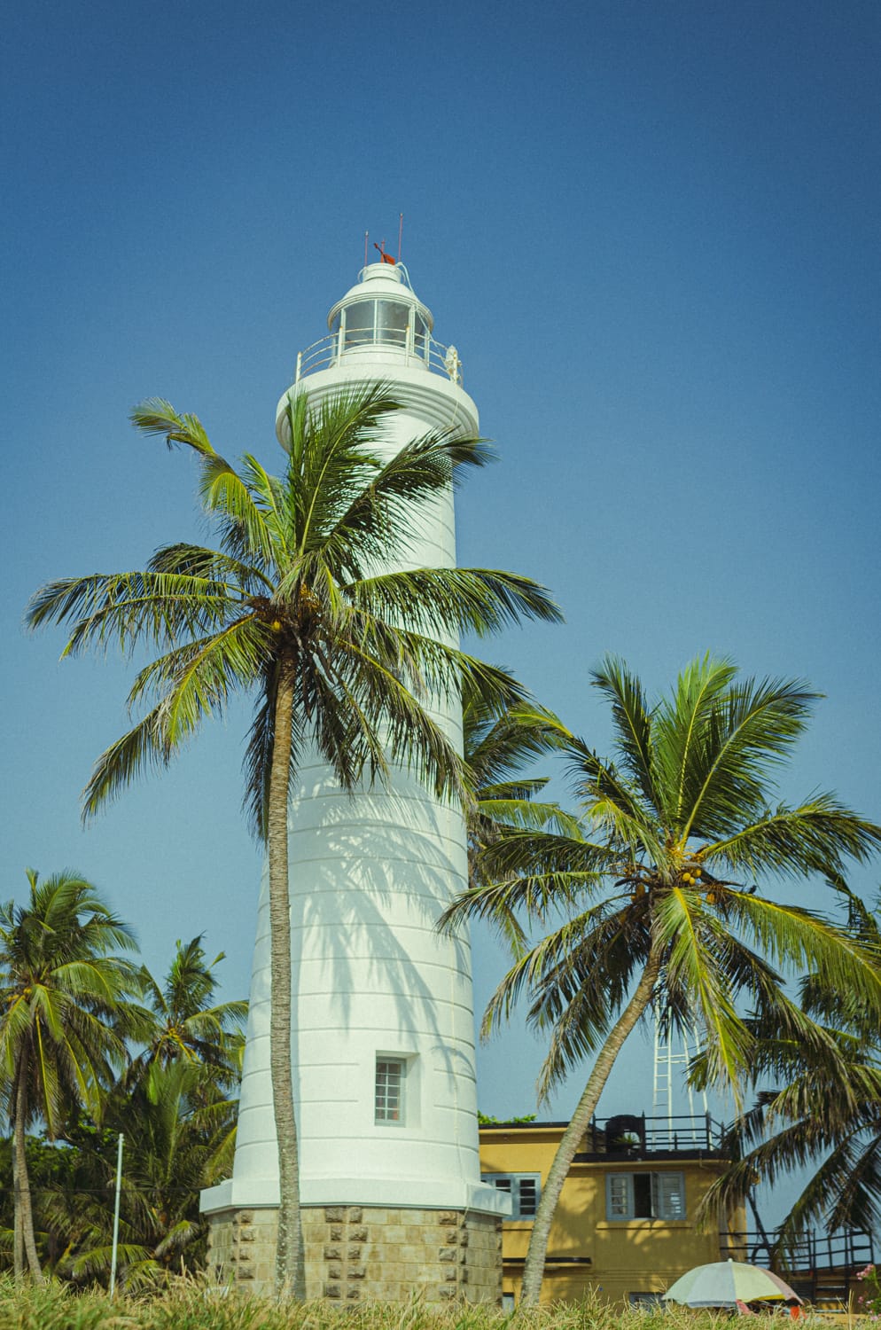 Фото 88 из альбома Sri Lanka 2019