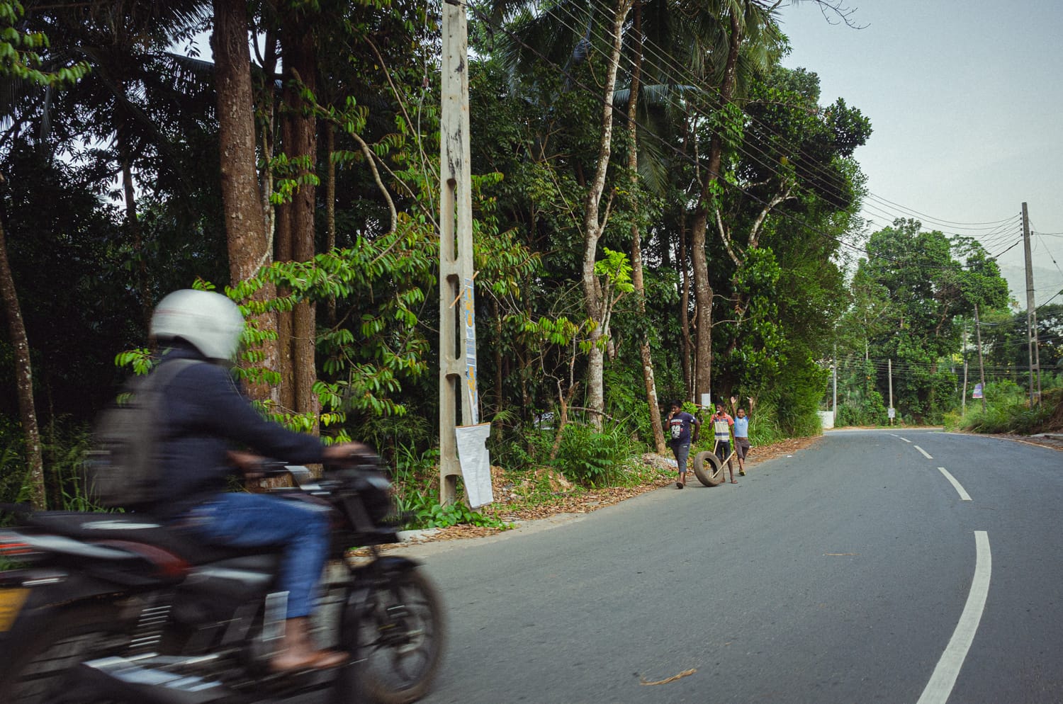 Фото 90 из альбома Sri Lanka 2019