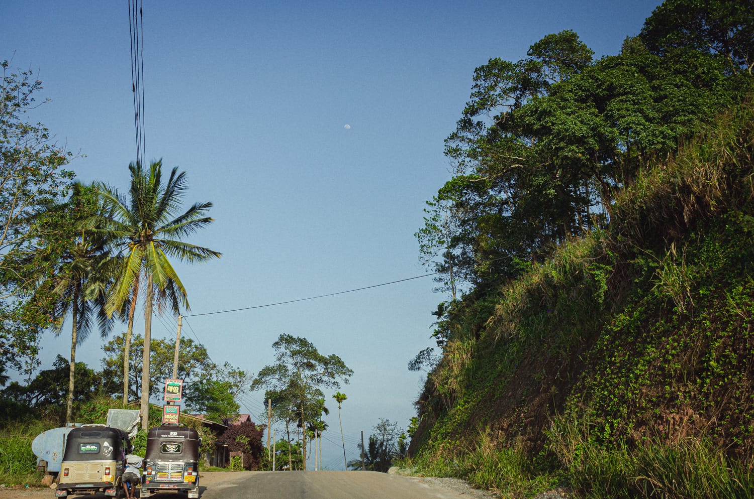 Фото 91 из альбома Sri Lanka 2019