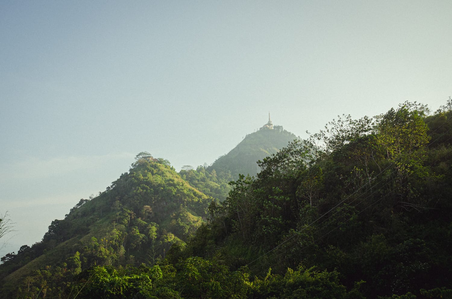 Фото 92 из альбома Sri Lanka 2019