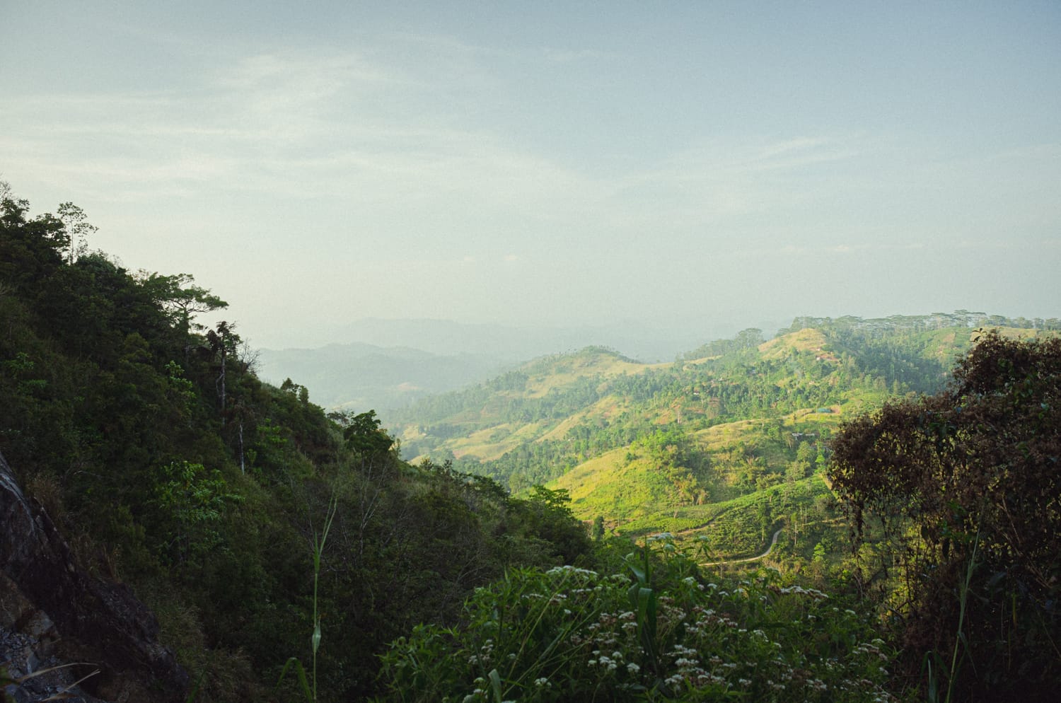 Фото 93 из альбома Sri Lanka 2019