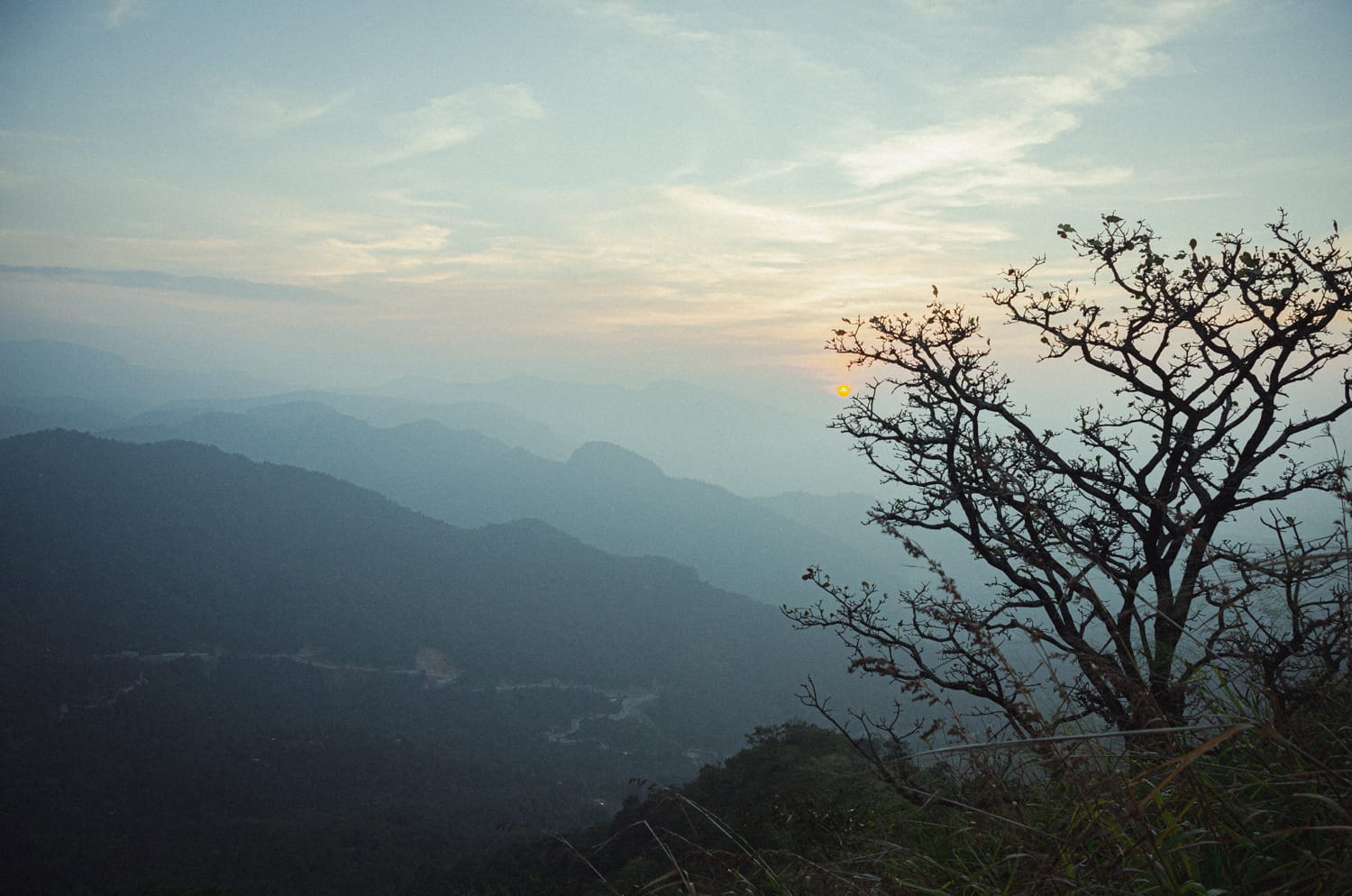 Фото 94 из альбома Sri Lanka 2019