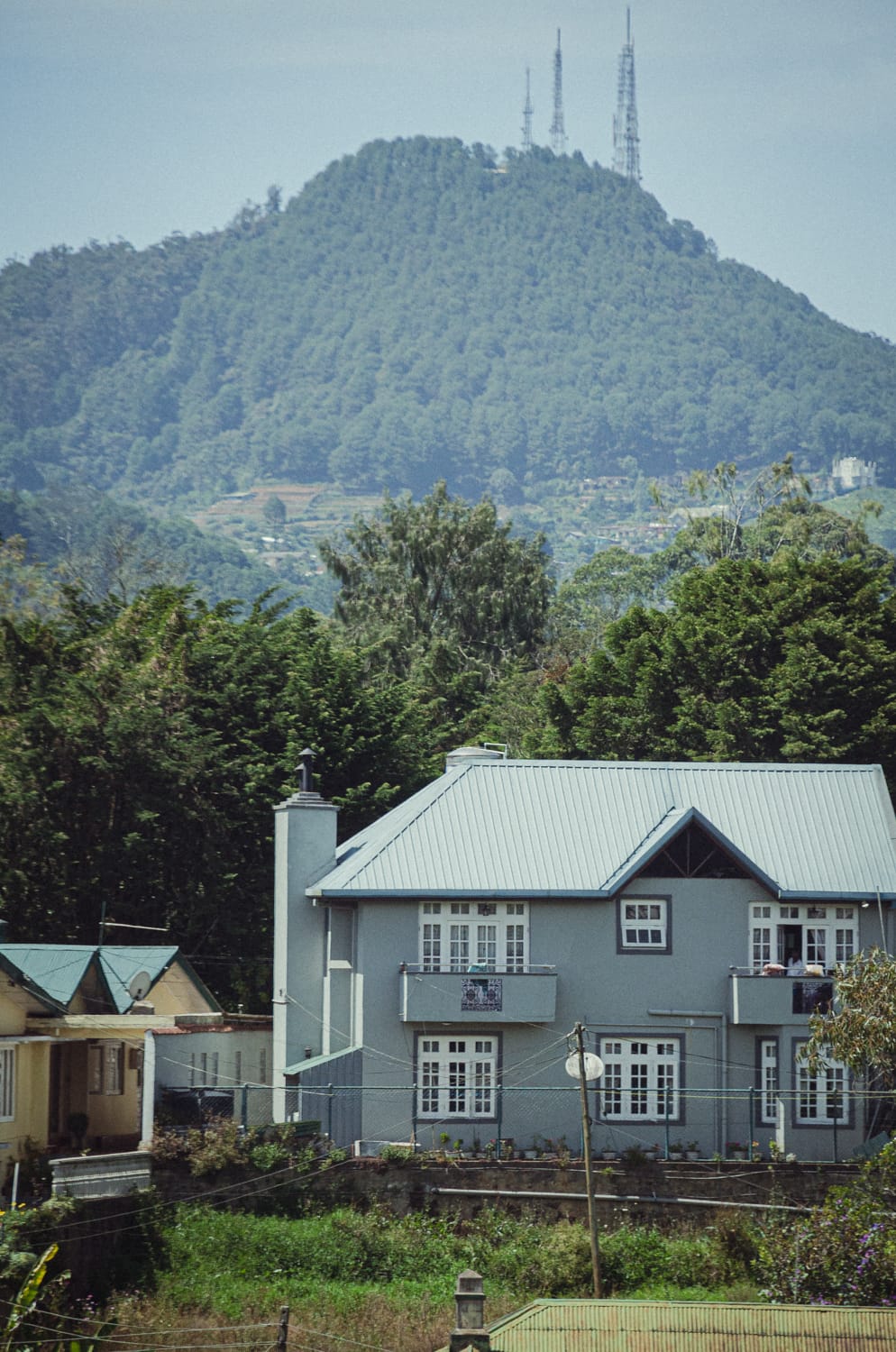 Фото 96 из альбома Sri Lanka 2019