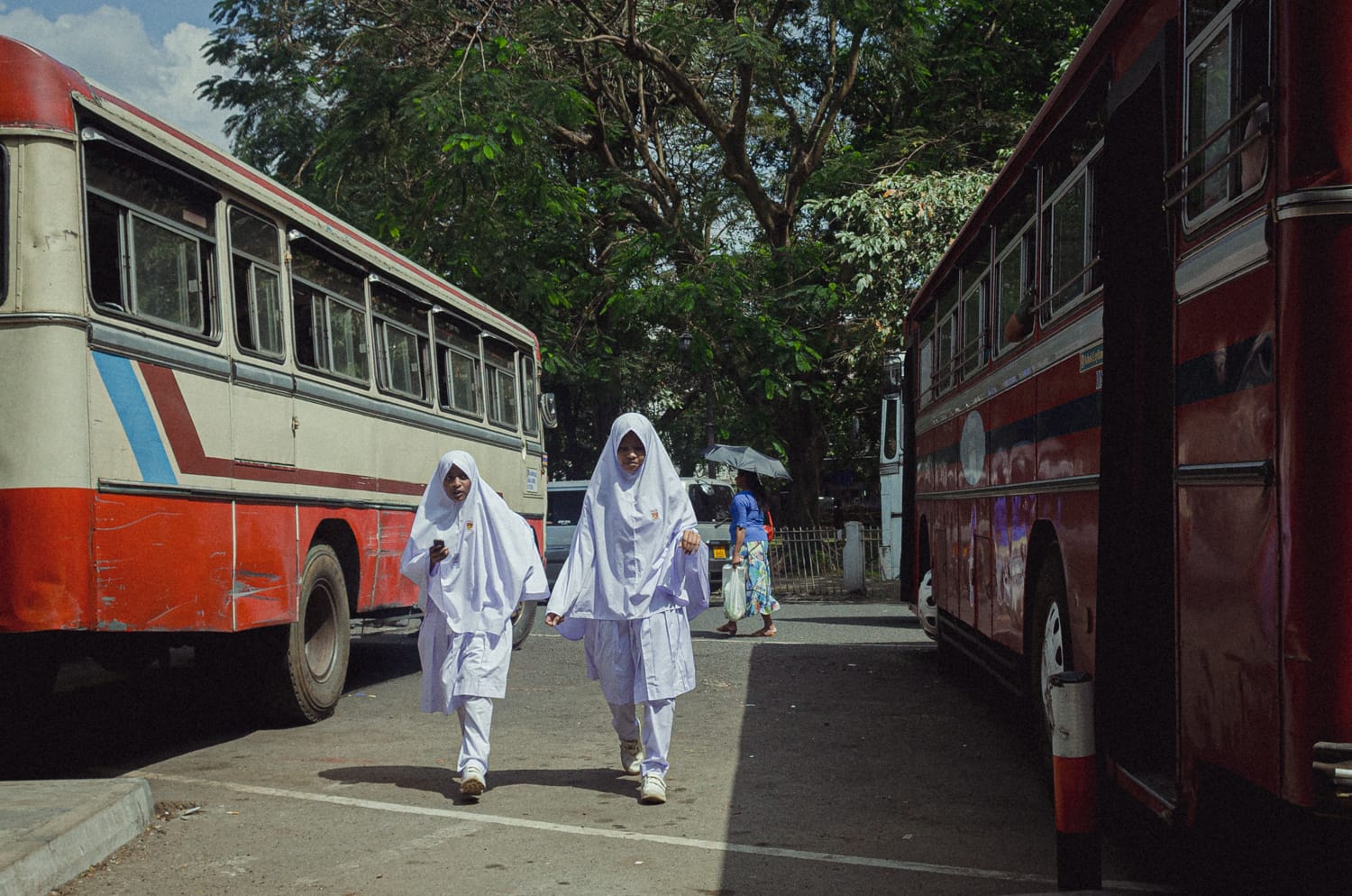 Фото 107 из альбома Sri Lanka 2019