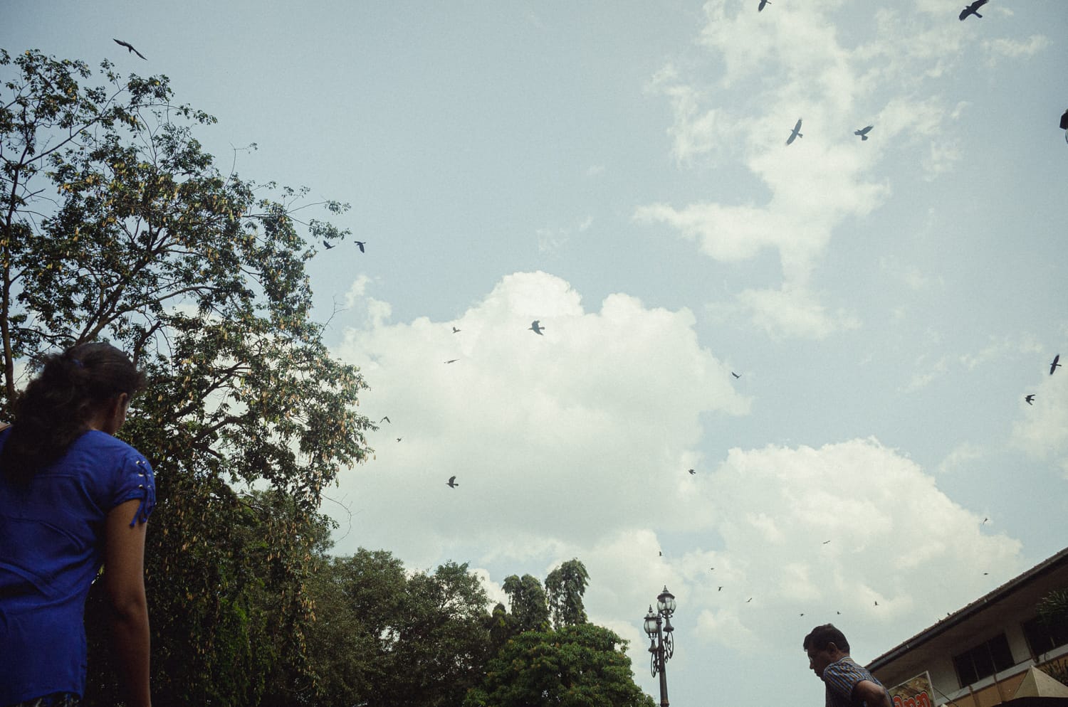 Фото 109 из альбома Sri Lanka 2019