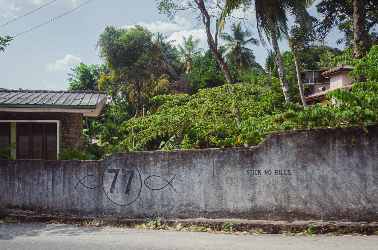 Фото 111 из альбома Sri Lanka 2019