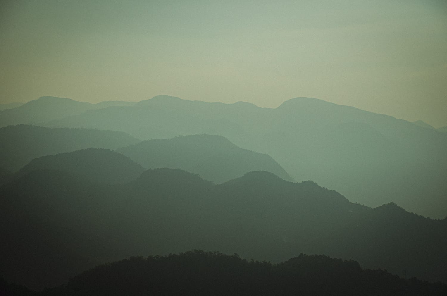 Фото 120 из альбома Sri Lanka 2019