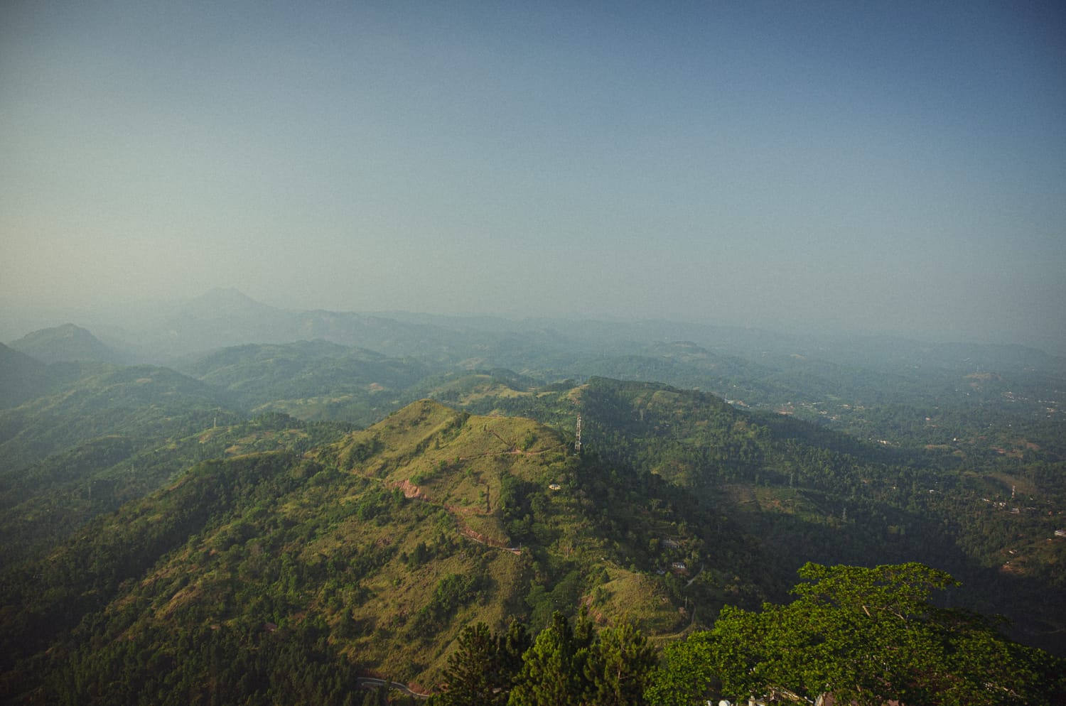 Фото 122 из альбома Sri Lanka 2019