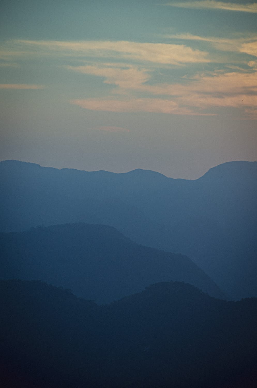 Фото 127 из альбома Sri Lanka 2019
