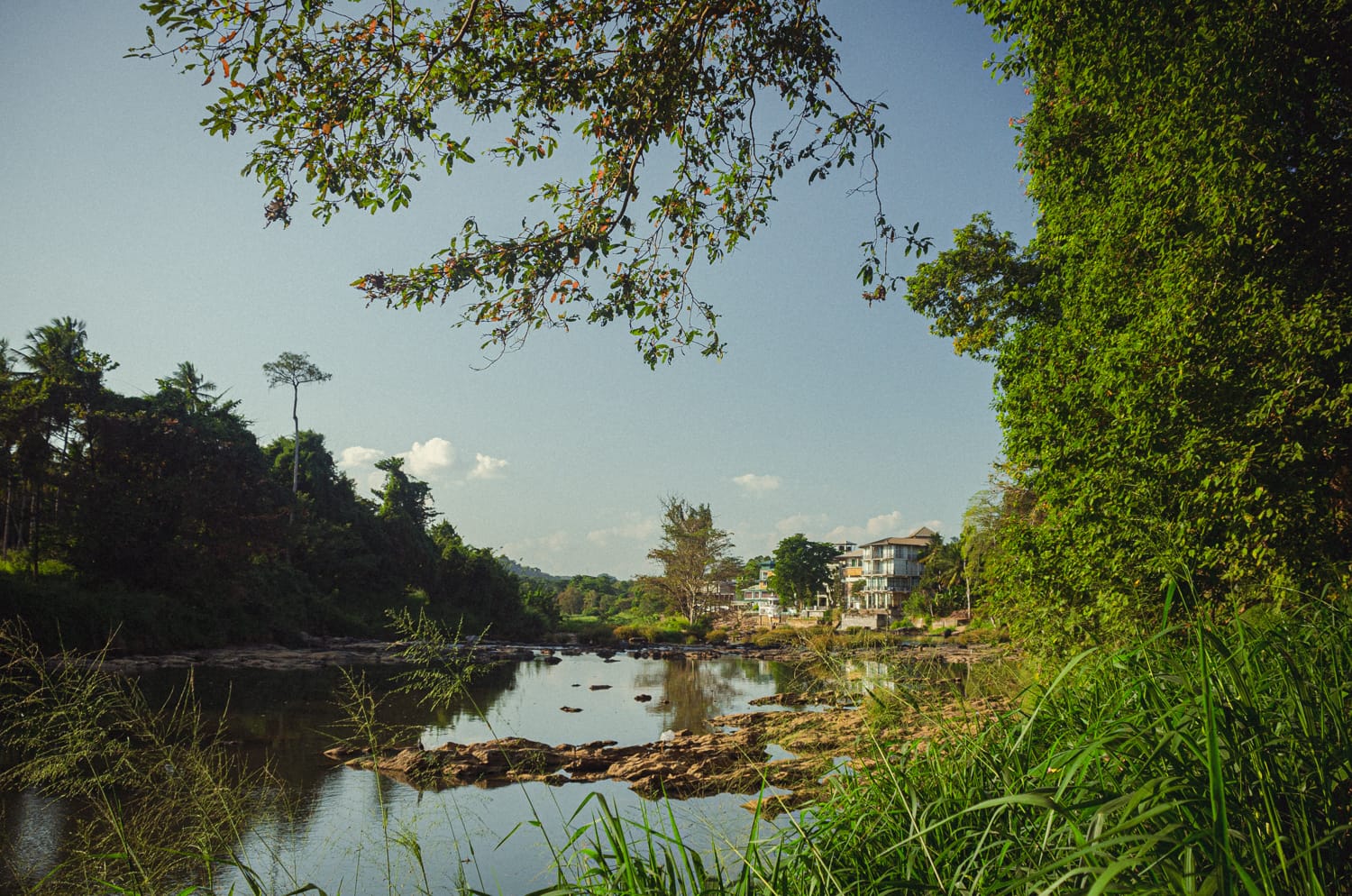 Фото 129 из альбома Sri Lanka 2019