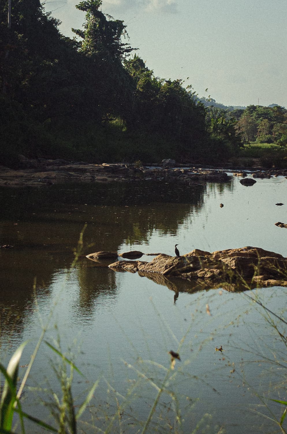Фото 130 из альбома Sri Lanka 2019