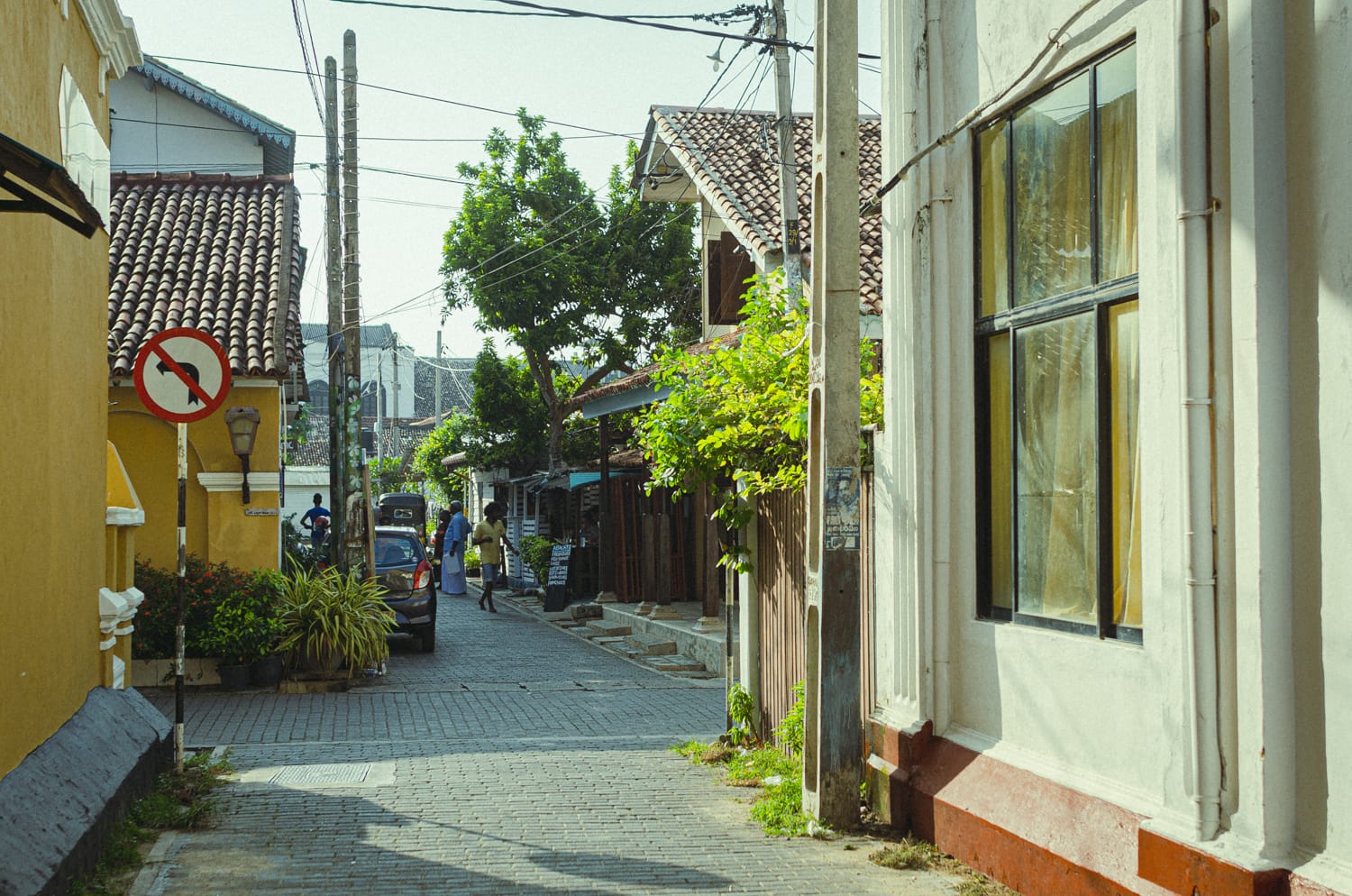 Фото 131 из альбома Sri Lanka 2019
