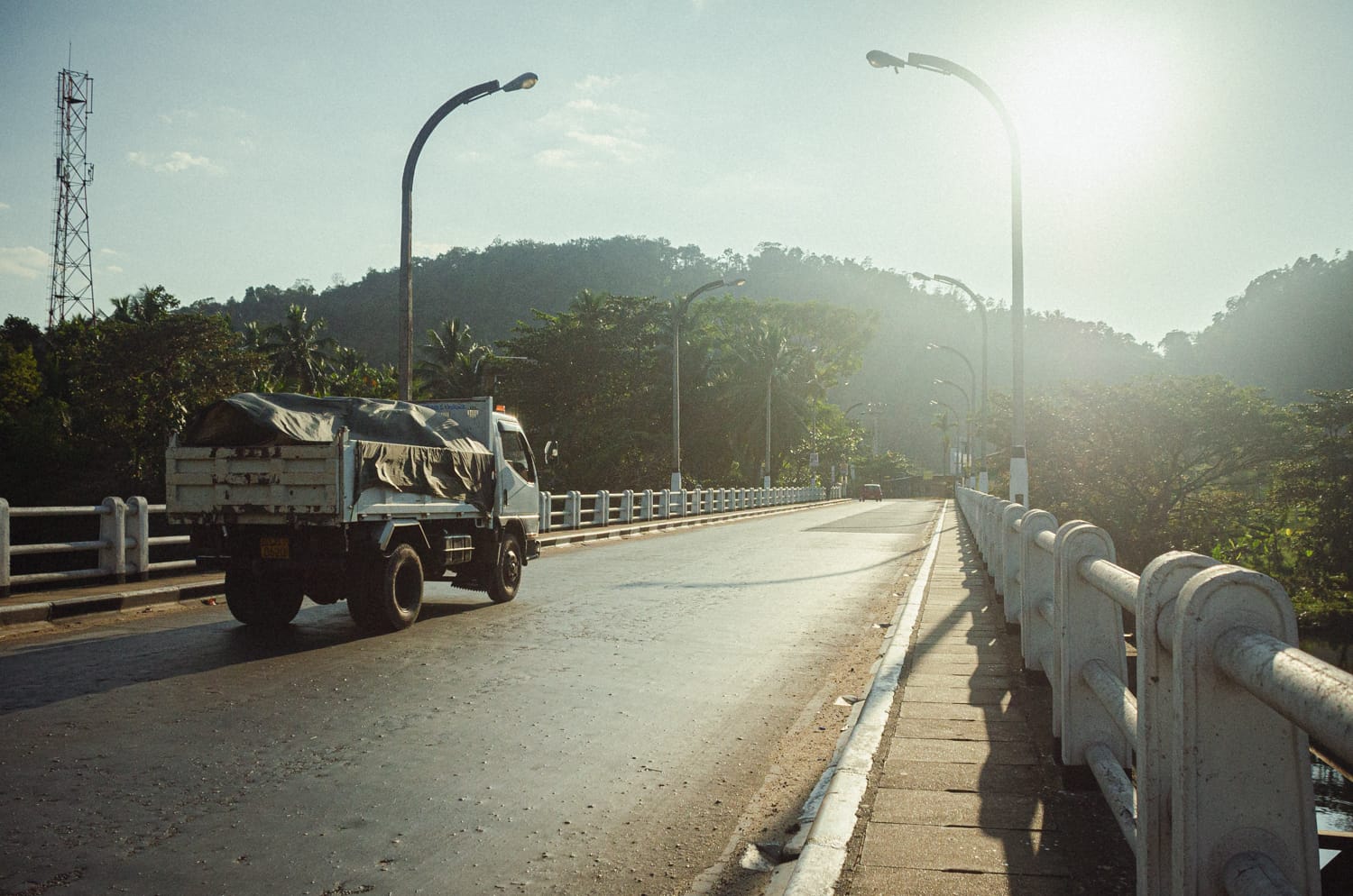 Фото 135 из альбома Sri Lanka 2019