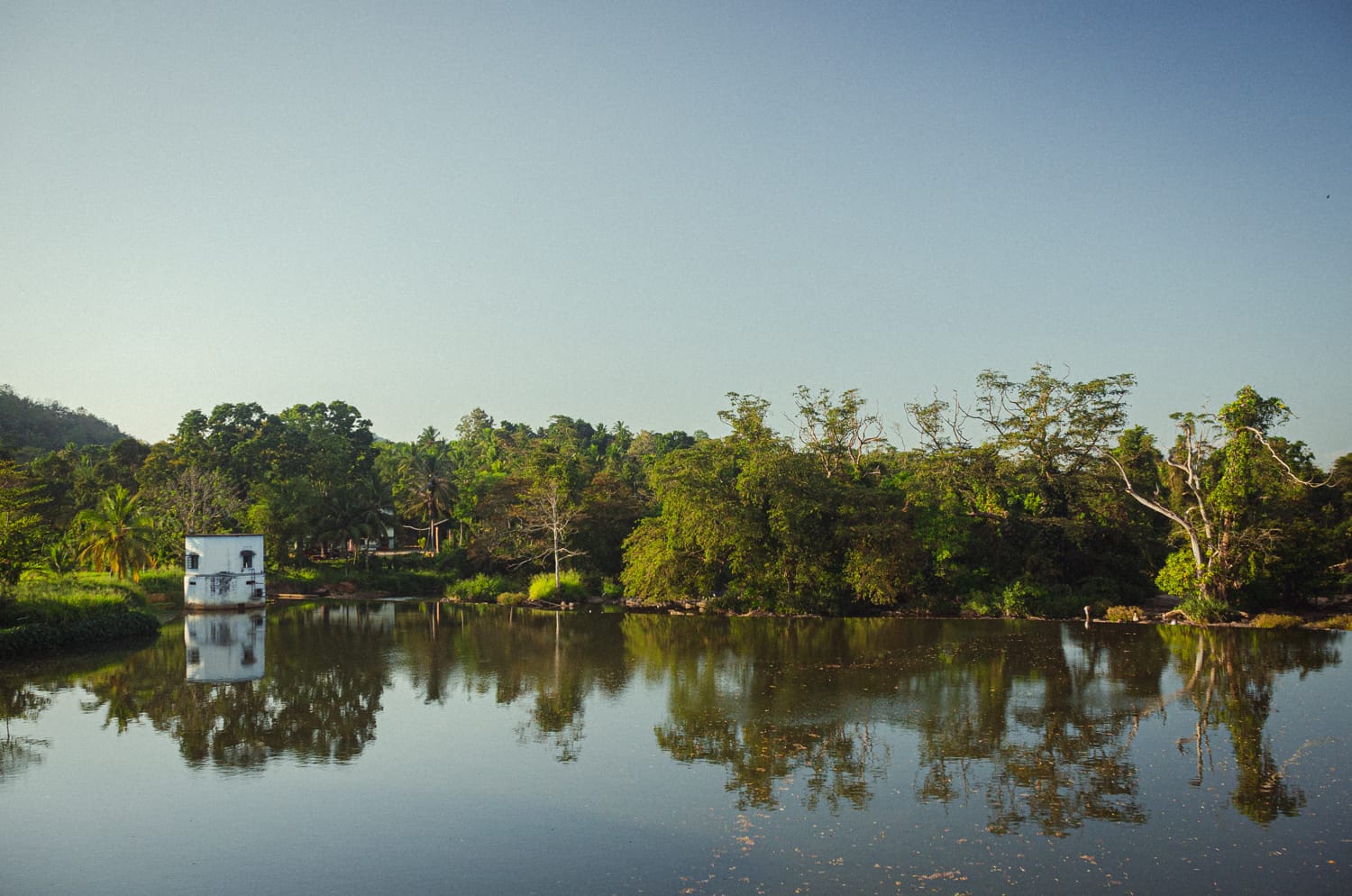 Фото 136 из альбома Sri Lanka 2019