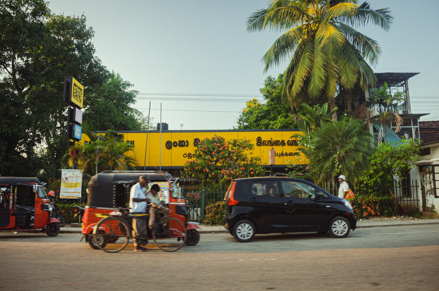Фото 141 из альбома Sri Lanka 2019
