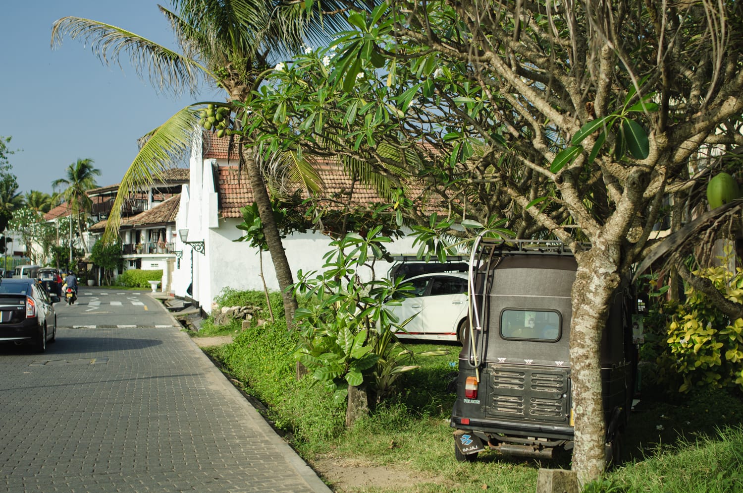 Фото 142 из альбома Sri Lanka 2019