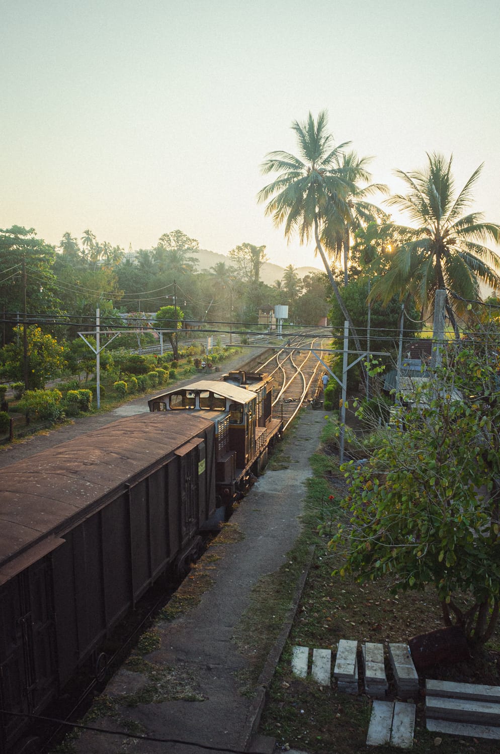 Фото 143 из альбома Sri Lanka 2019