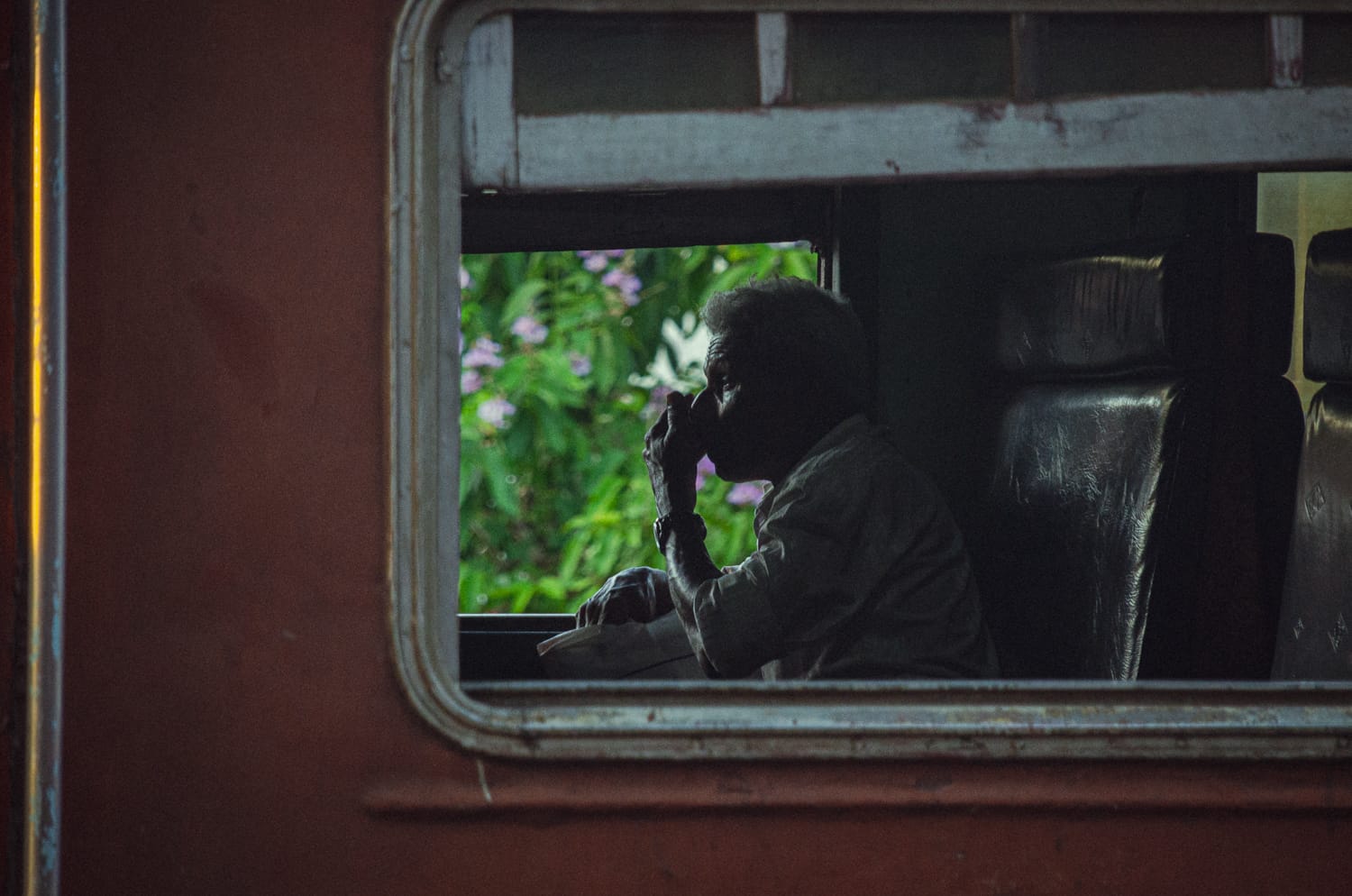 Фото 144 из альбома Sri Lanka 2019