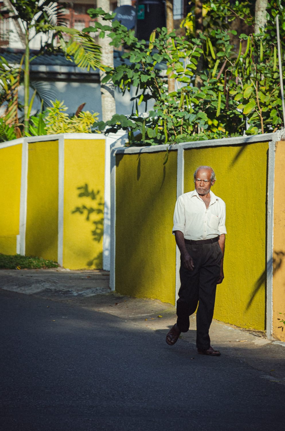 Фото 150 из альбома Sri Lanka 2019