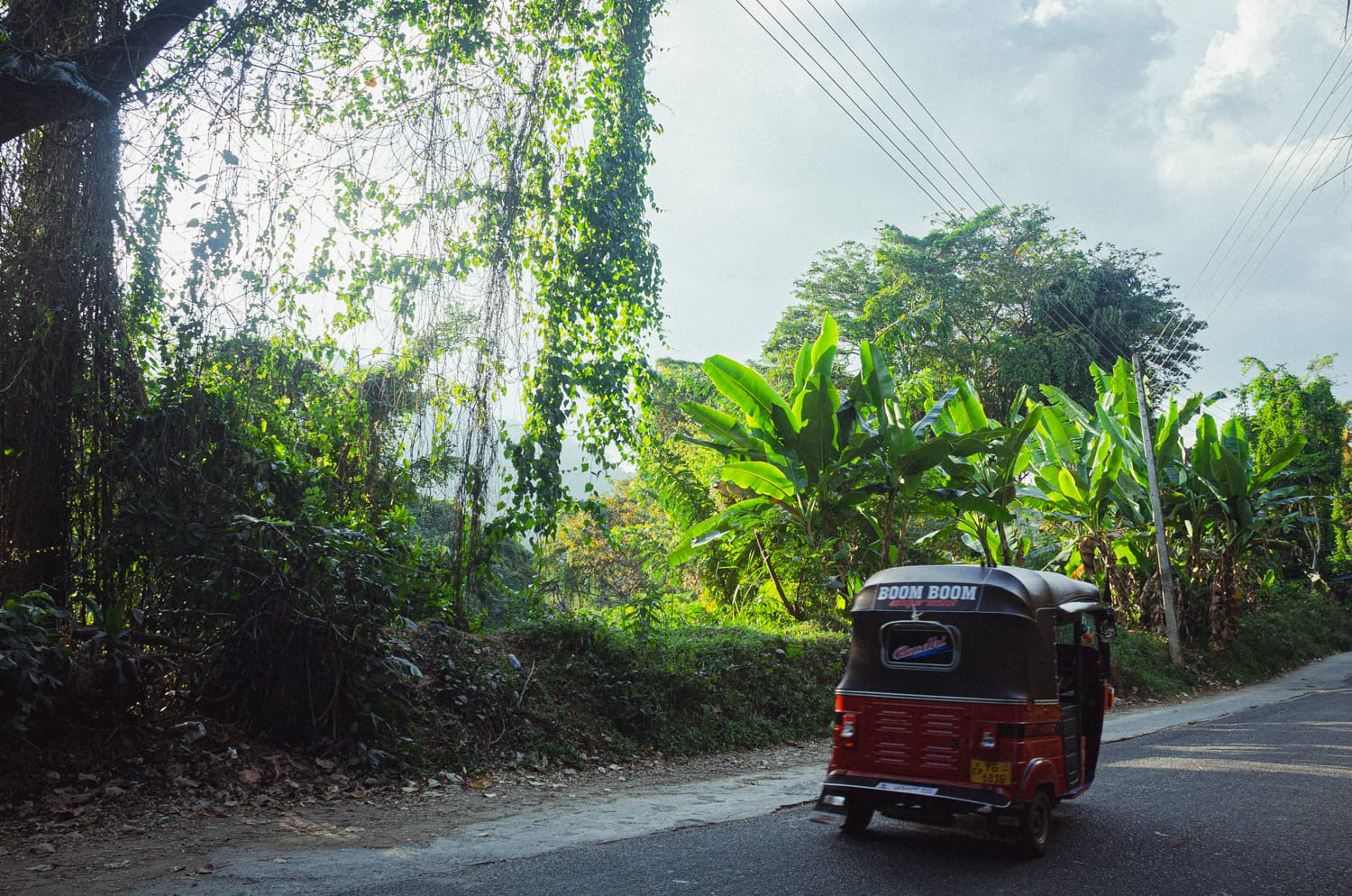 Фото 155 из альбома Sri Lanka 2019