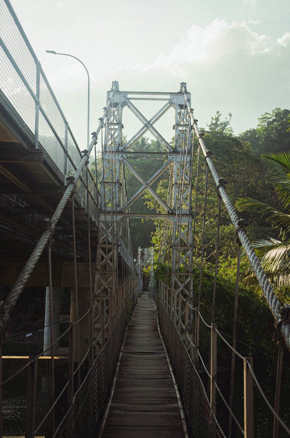 Фото 159 из альбома Sri Lanka 2019