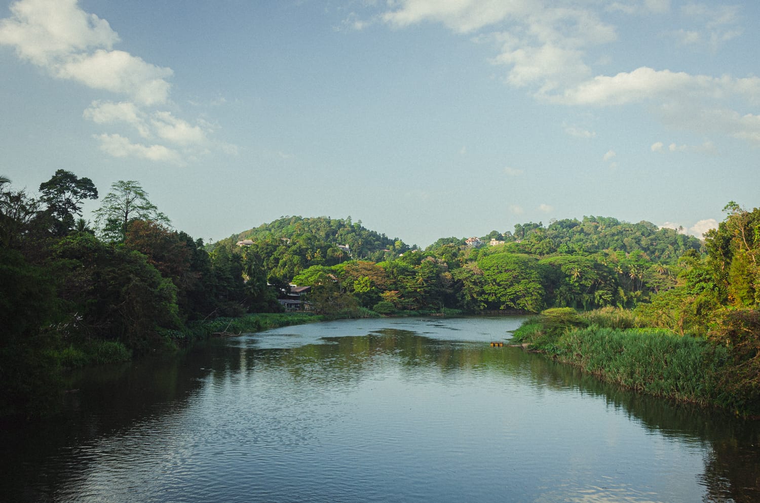 Фото 160 из альбома Sri Lanka 2019