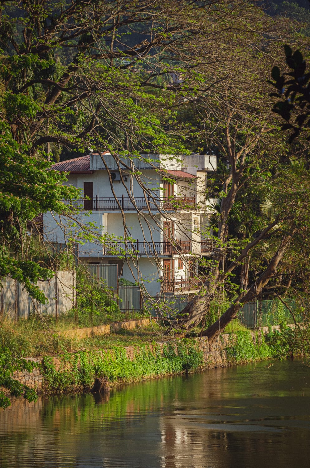 Фото 161 из альбома Sri Lanka 2019