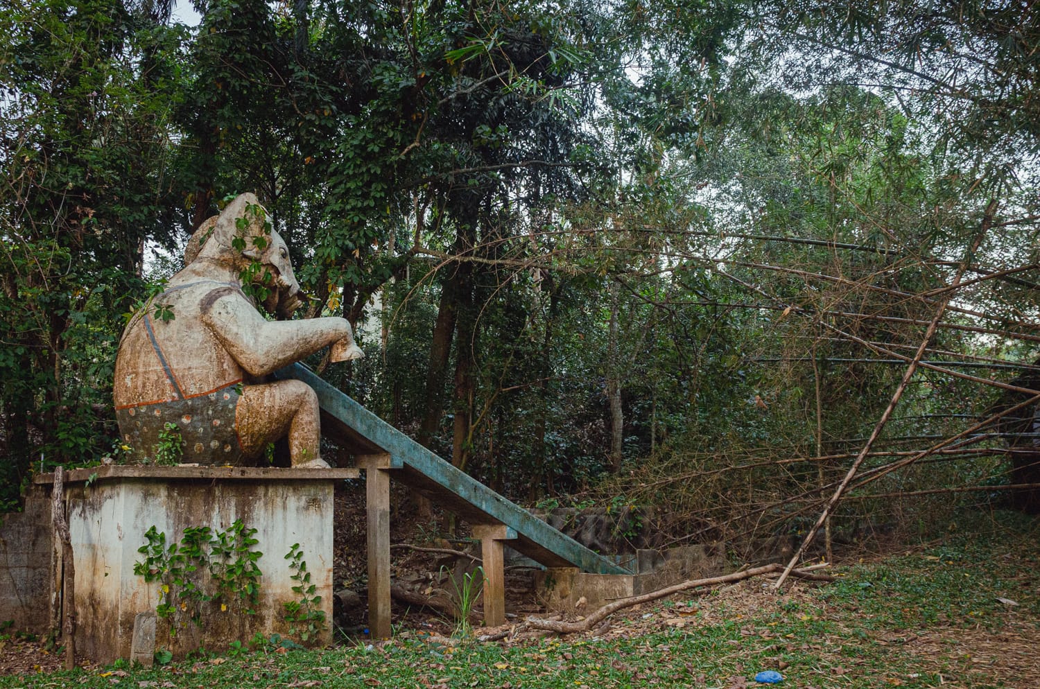 Фото 162 из альбома Sri Lanka 2019