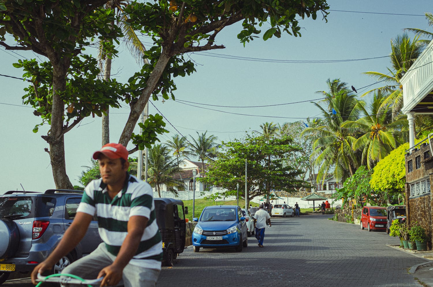 Фото 164 из альбома Sri Lanka 2019