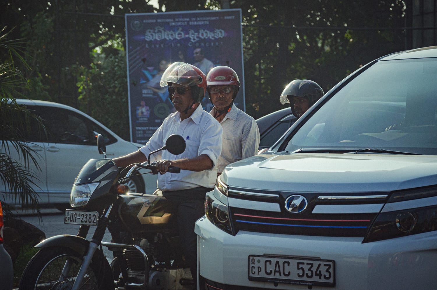 Фото 171 из альбома Sri Lanka 2019