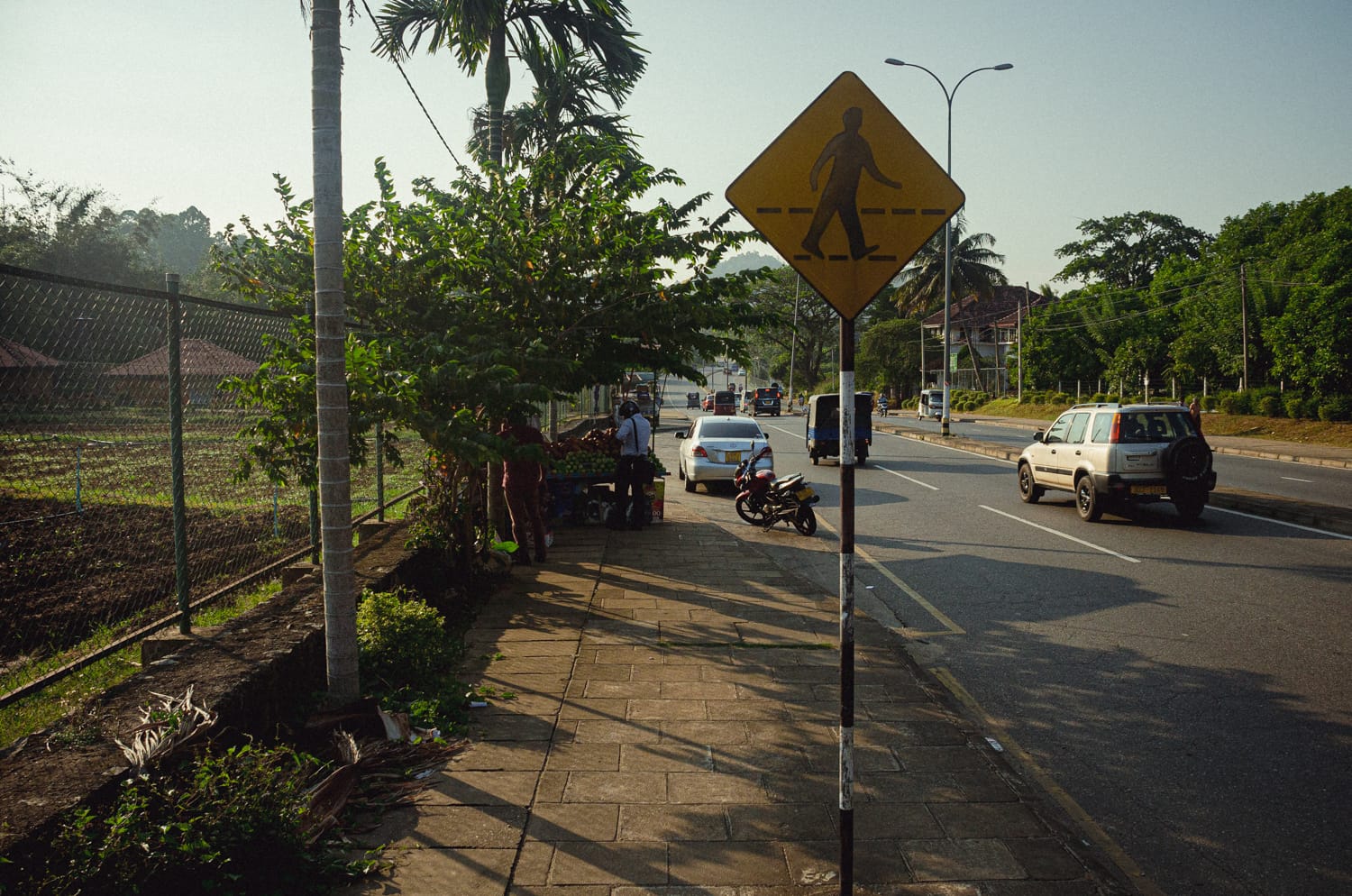Фото 173 из альбома Sri Lanka 2019
