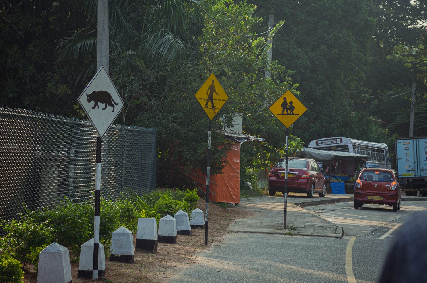 Фото 174 из альбома Sri Lanka 2019