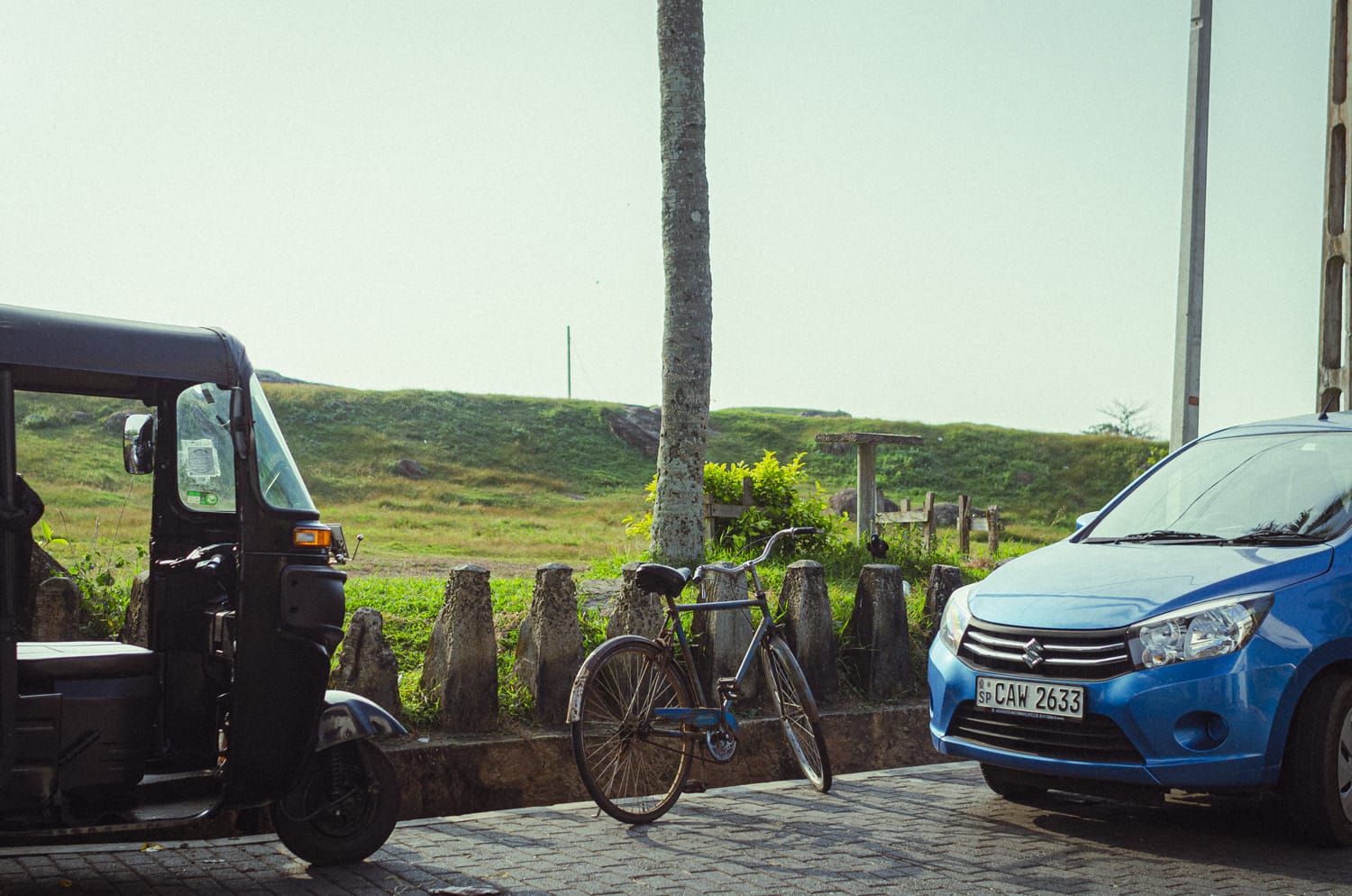 Фото 175 из альбома Sri Lanka 2019