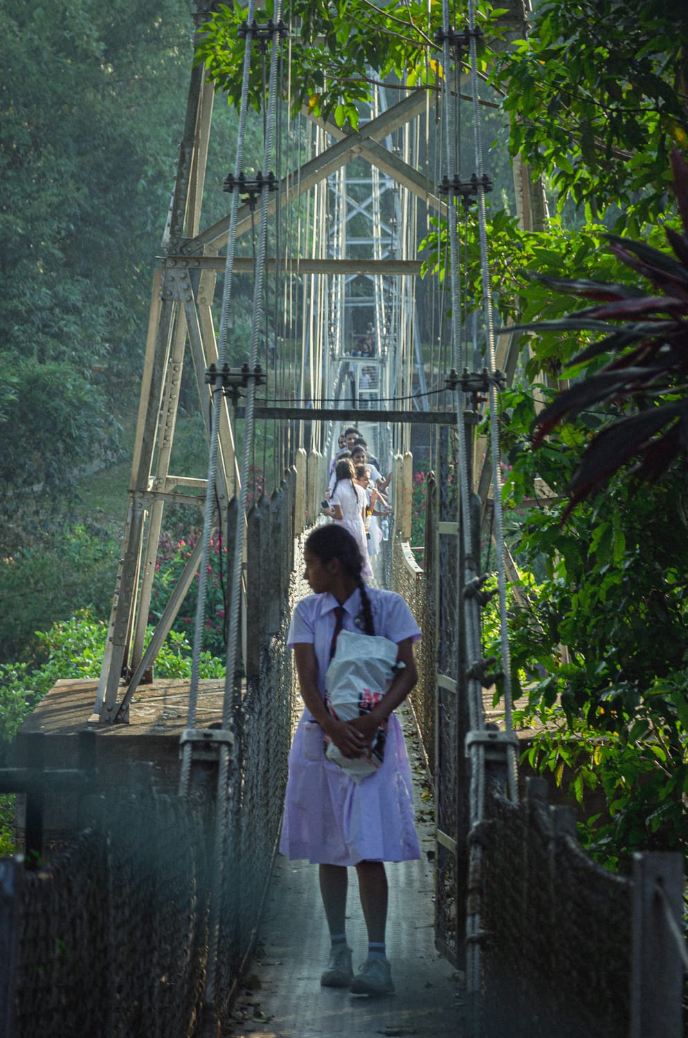 Фото 176 из альбома Sri Lanka 2019