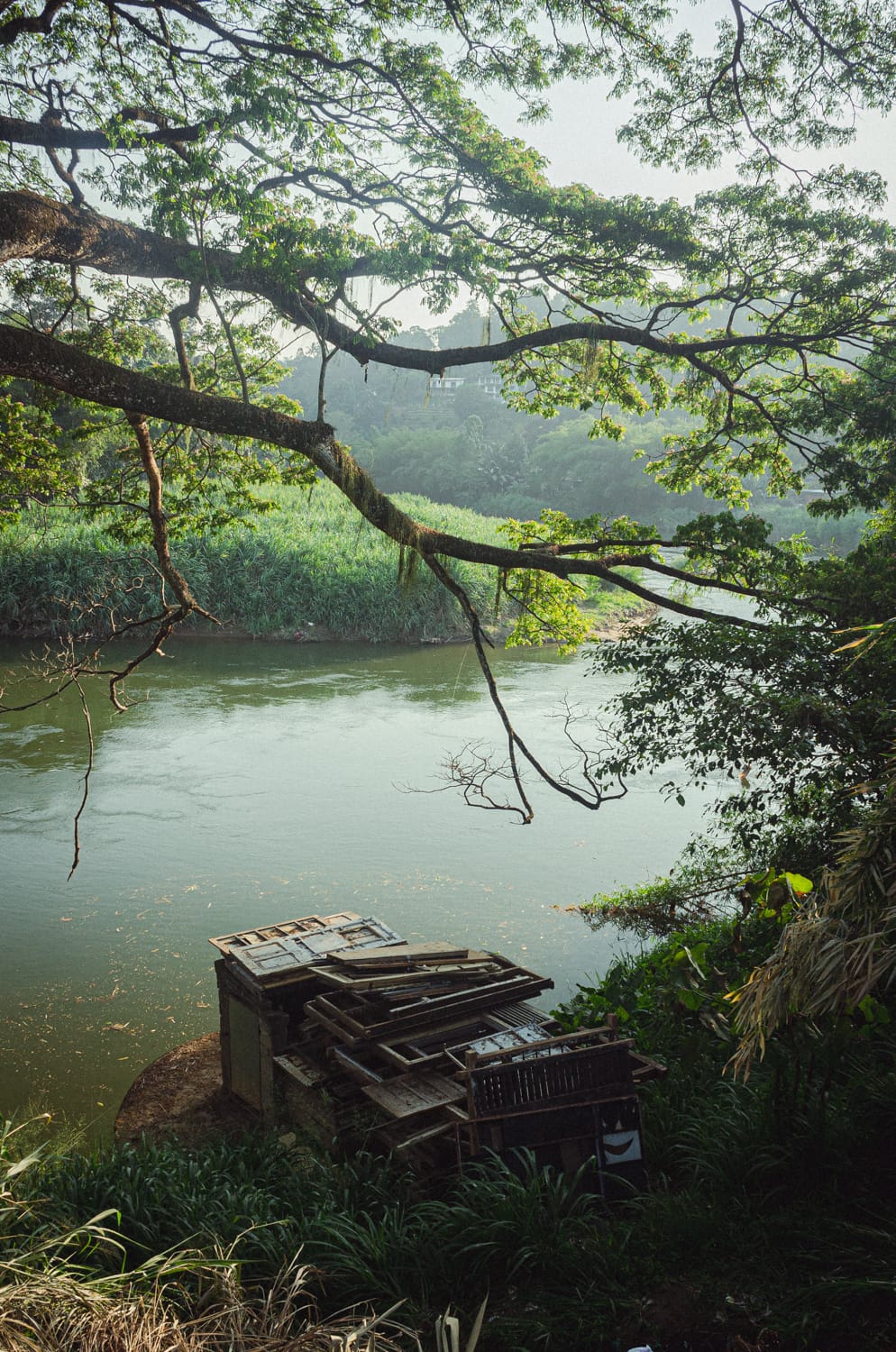 Фото 177 из альбома Sri Lanka 2019