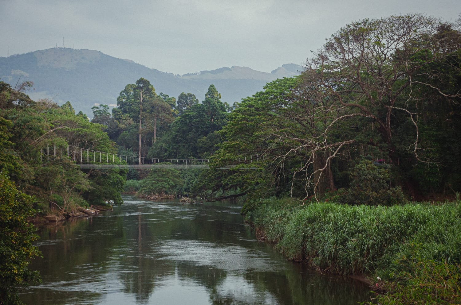 Фото 178 из альбома Sri Lanka 2019